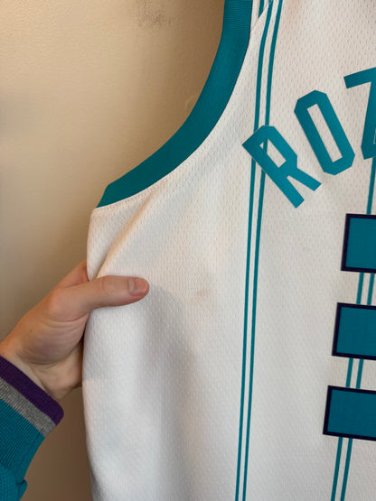 2021 Charlotte Hornets Terry Rozier III Away Jordan Swingman Jersey (L)