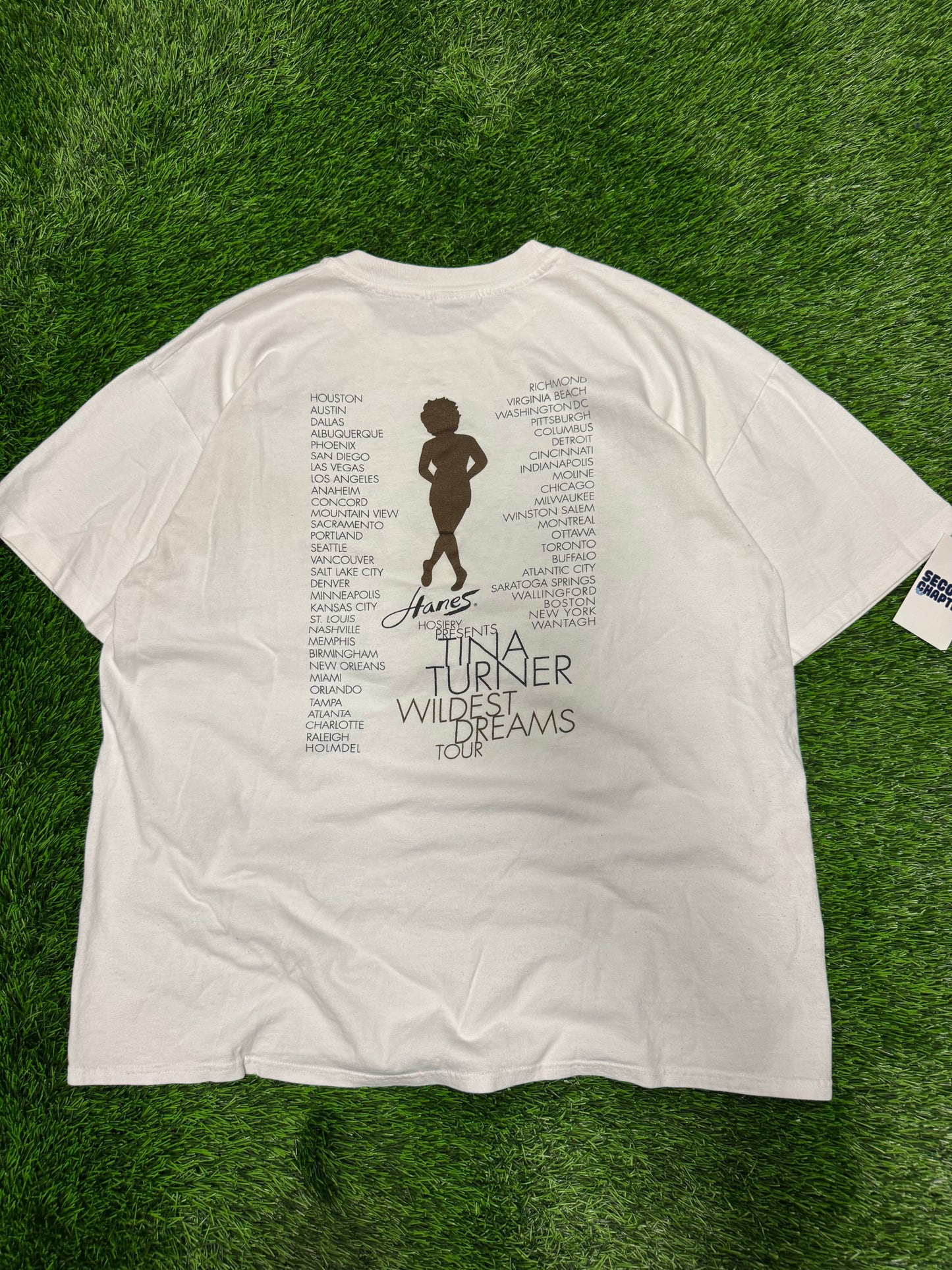 90s Tina Turner Wildest Dream Vintage Tour Tee (XL)
