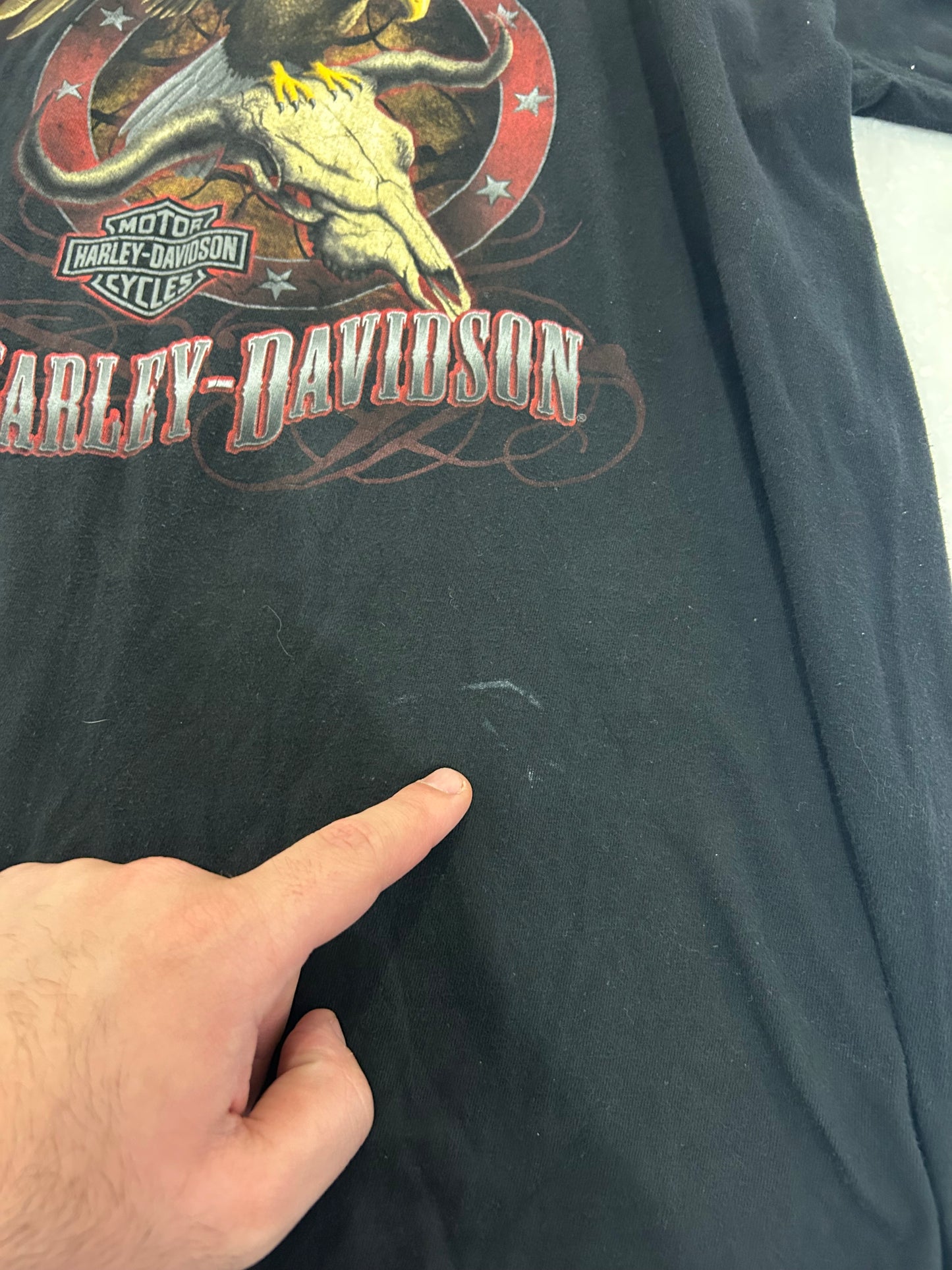 2009 Harley Davidson Killer Creek Tee (L)