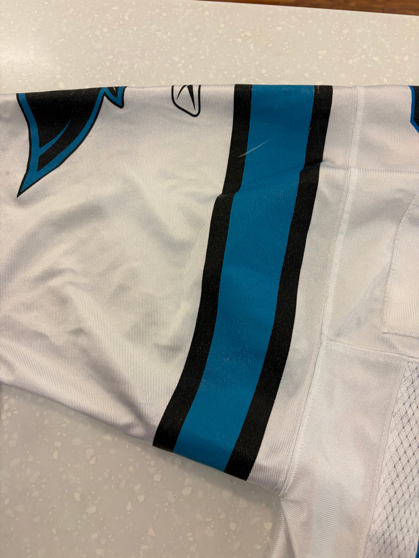 00s Carolina Panthers Dan Morgan Reebok Away Jersey (S)