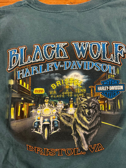 2010 Harley Davidson Dark Teal Wolf Tee (XL)