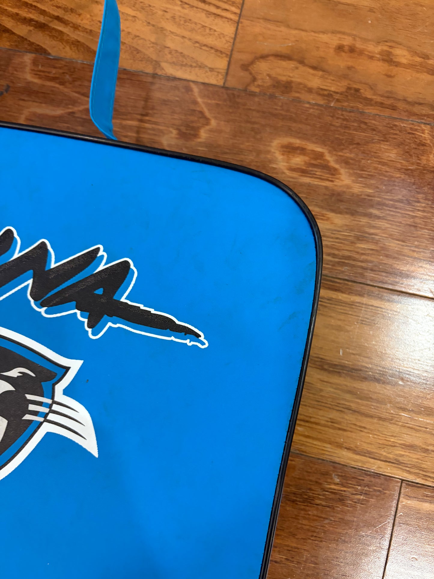 00s Carolina Panthers Stadium Seat Cushion (OS)