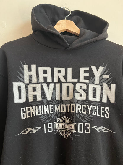 2010 Harley Davidson Flames Sleeve Hit Tampa, FL Hoodie (M)