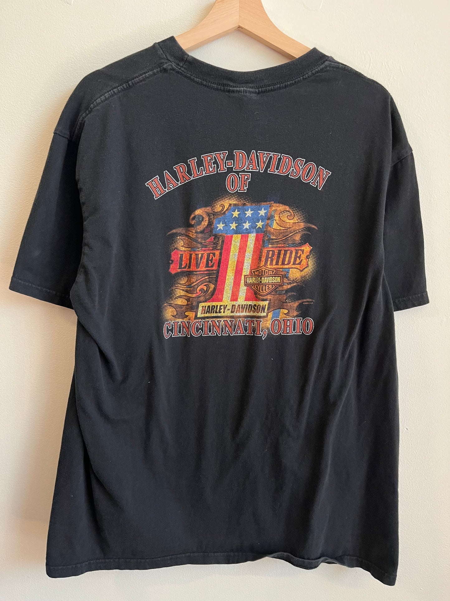2009 Harley Davidson Jester Tee (L)