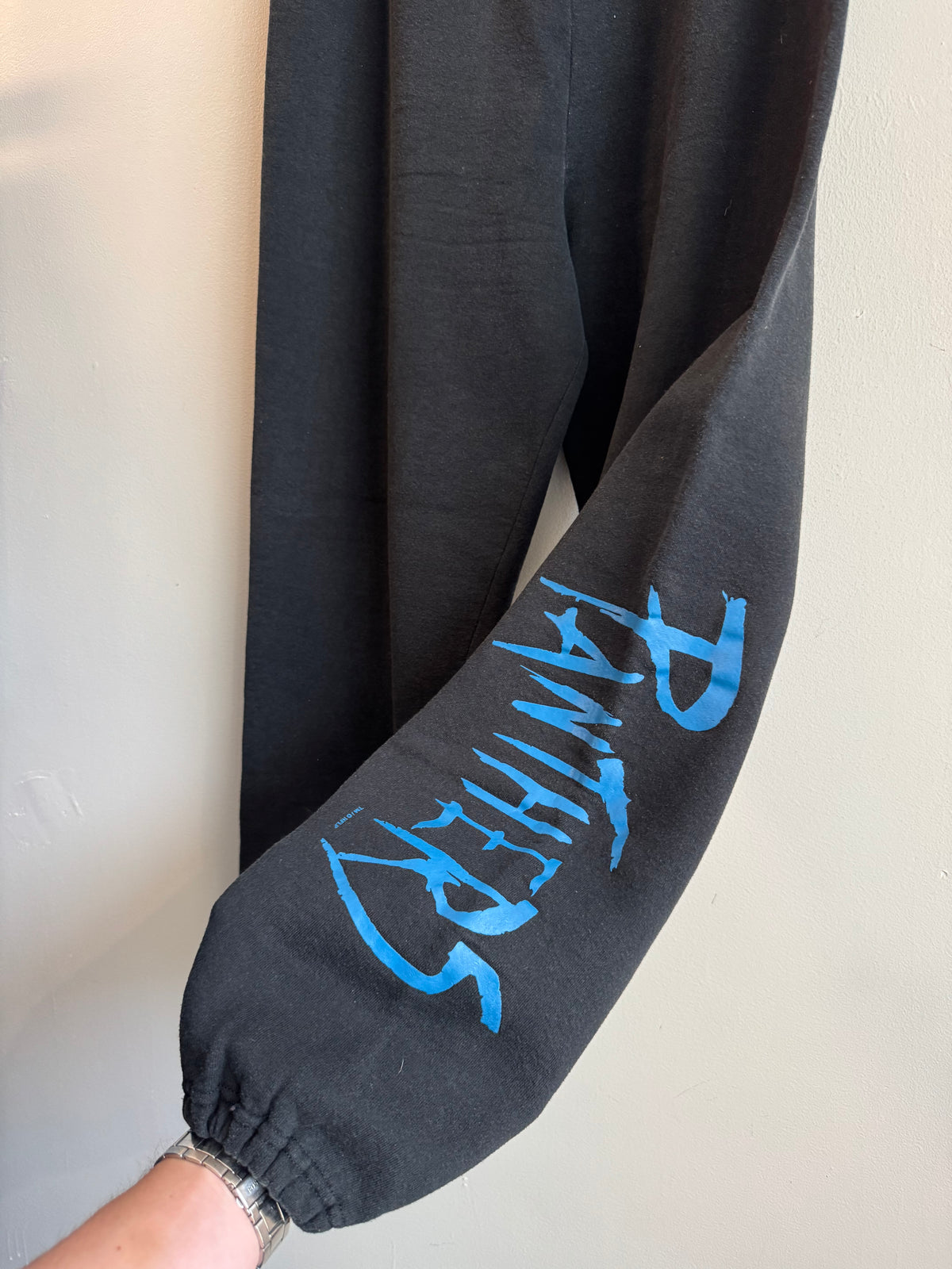90s Carolina Panthers Cuffed Russell Sweatpants (L)