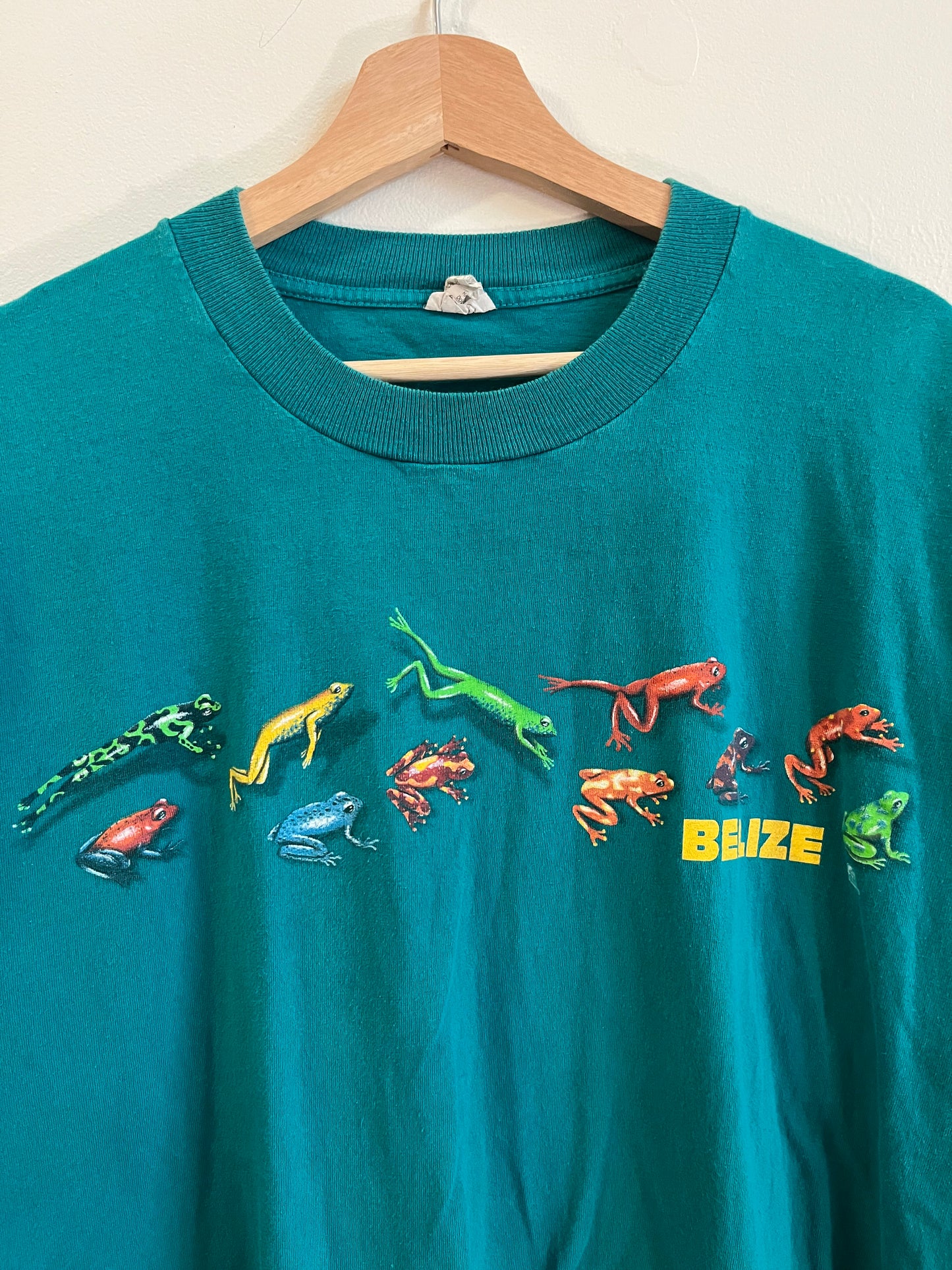 90s Belize Frogs Teal Tee (XL)