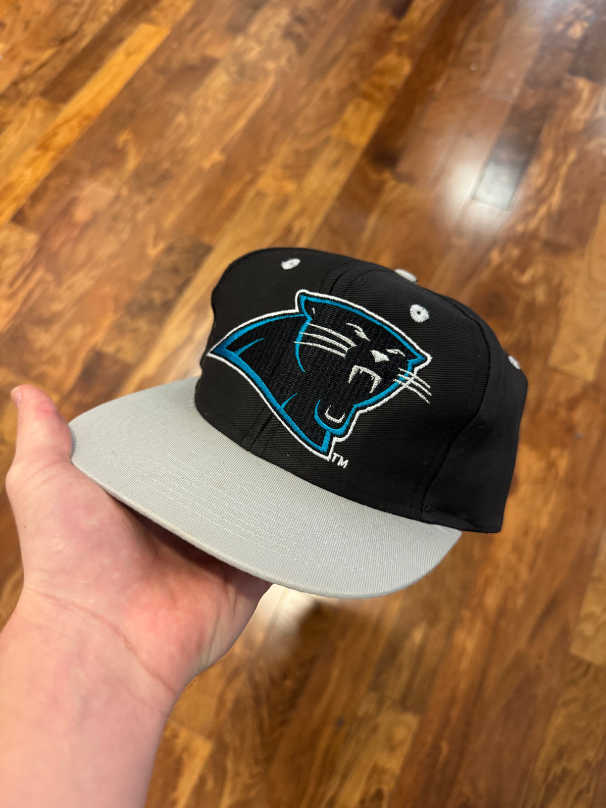 90s Carolina Panthers Big Logo Essential Hat (OS)