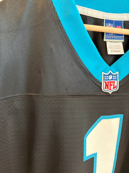 2010s Carolina Panthers Cam Newton Pro Line Jersey (XL)
