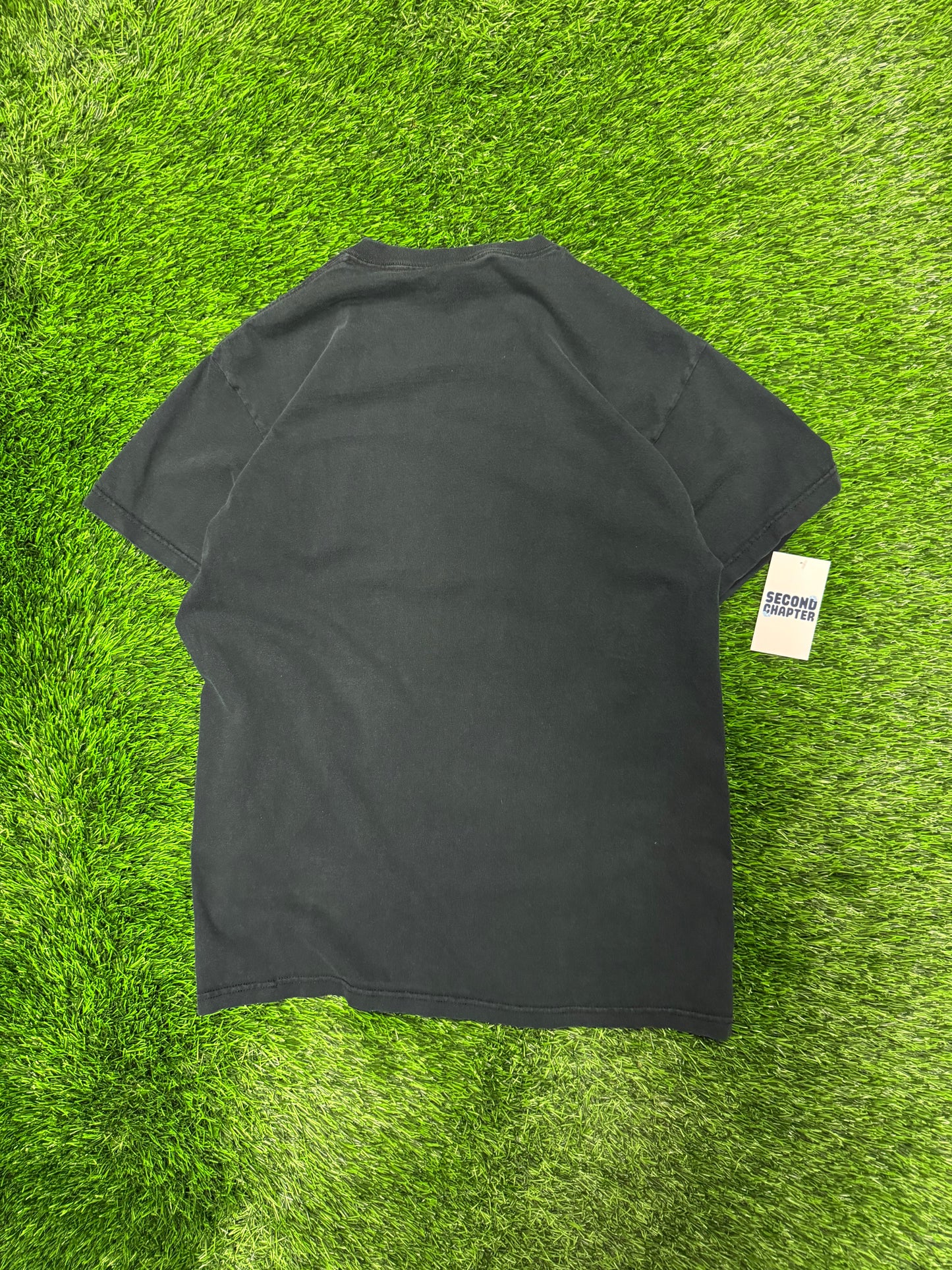 2003 Carolina Panthers NFC Champions Graphic Vintage Tee (L)