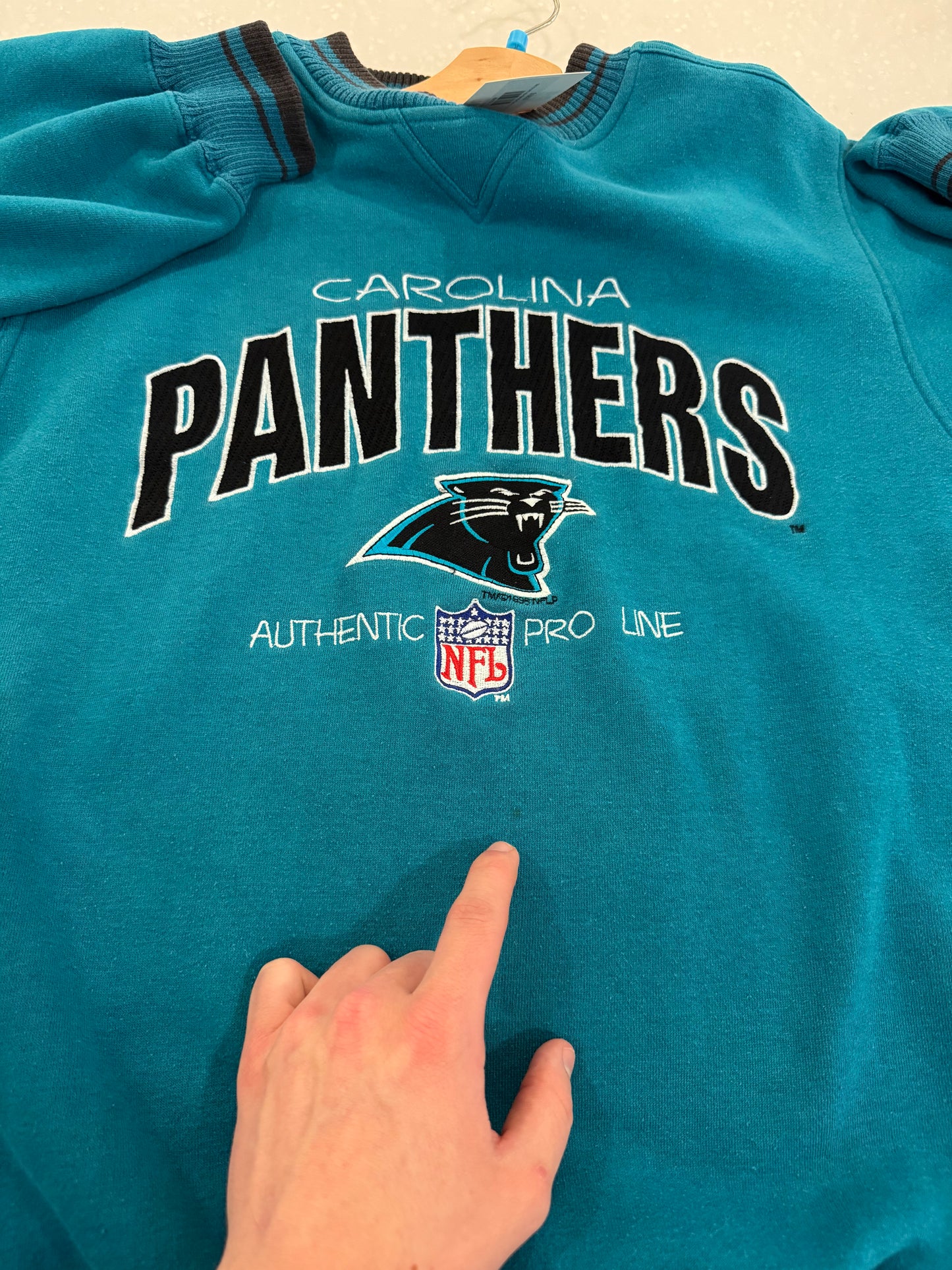 1996 Carolina Panthers Logo Athletic Embroidered Crewneck (L)