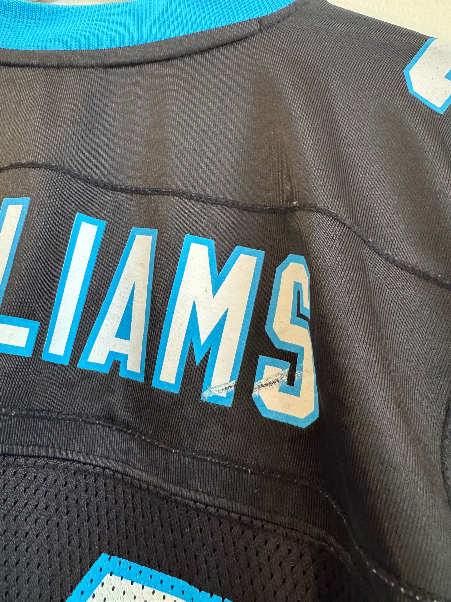 00s Carolina Panthers Deangelo Williams Reebok Home Jersey (M)