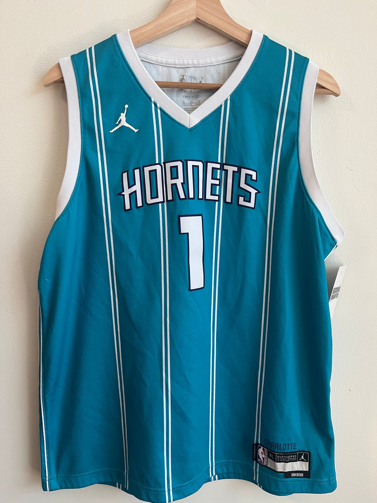 2022 Charlotte Hornets LaMelo Ball Icon Edition Jersey (Youth XL)
