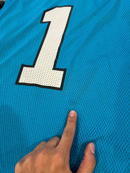 00s Carolina Panthers Reebok Cam Newton Blue Jersey (XL)