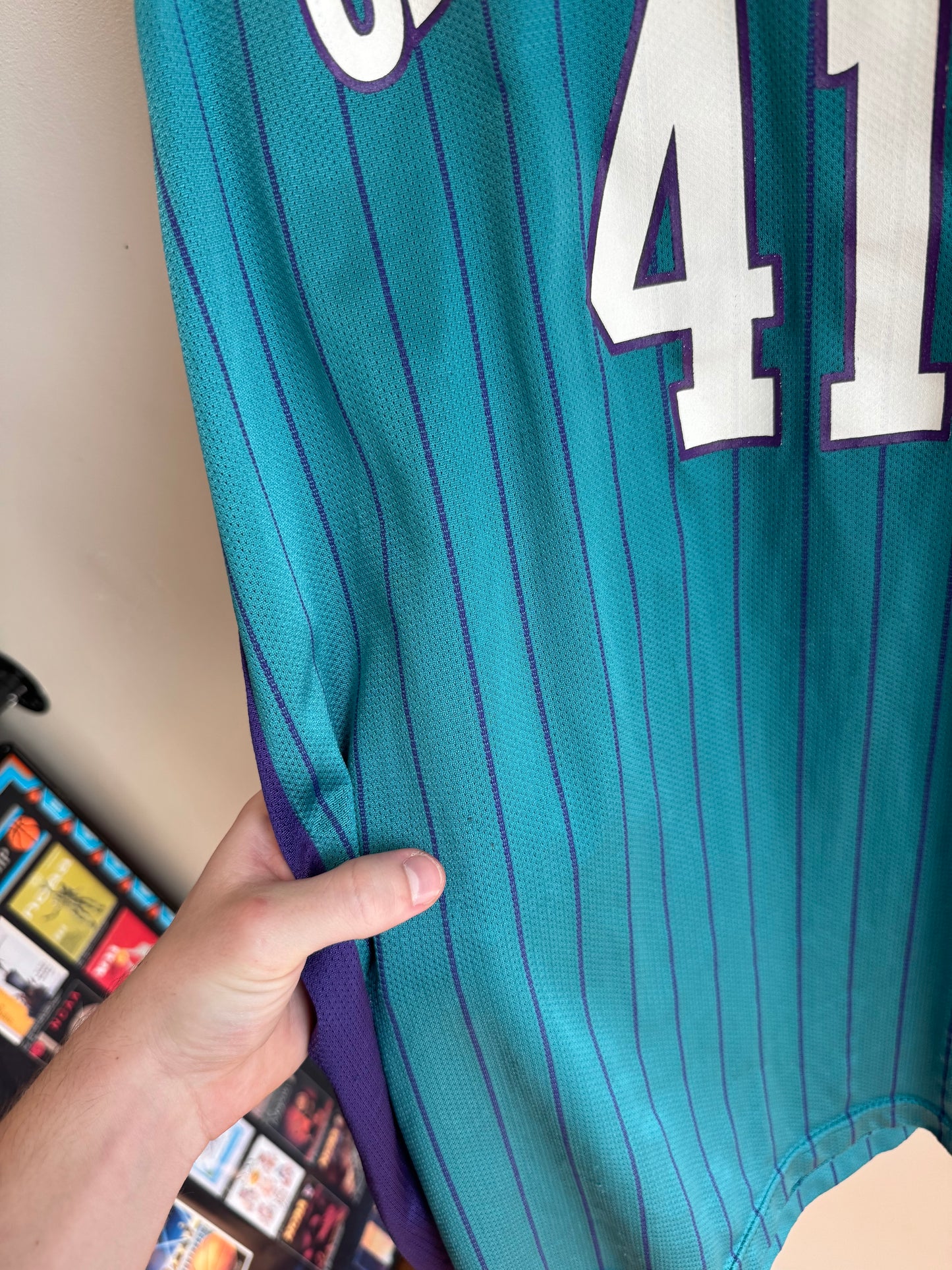90s Charlotte Hornets Glen Rice Pinstripe NBA Champion Jersey (XL)