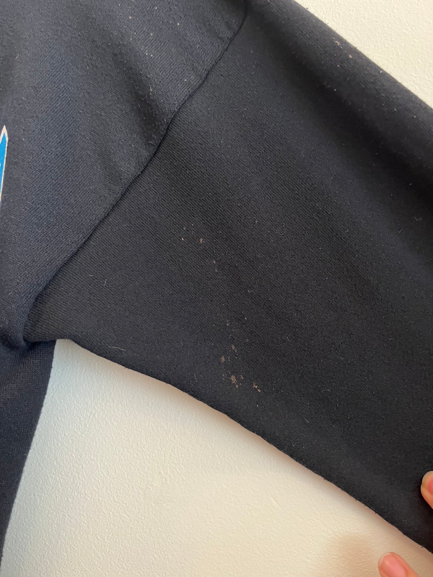 1993 Carolina Panthers Spell Out Black Crewneck (L)