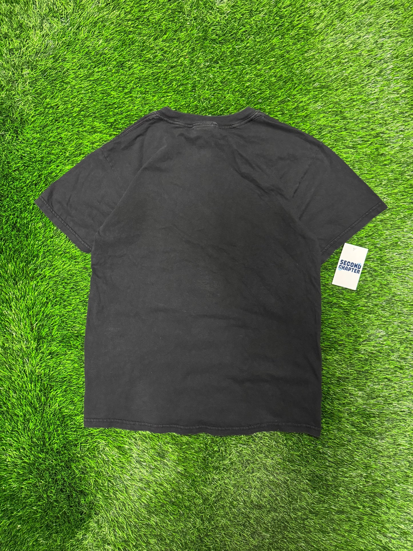 2003 Carolina Panthers NFC Champs Vintage Tee (M)