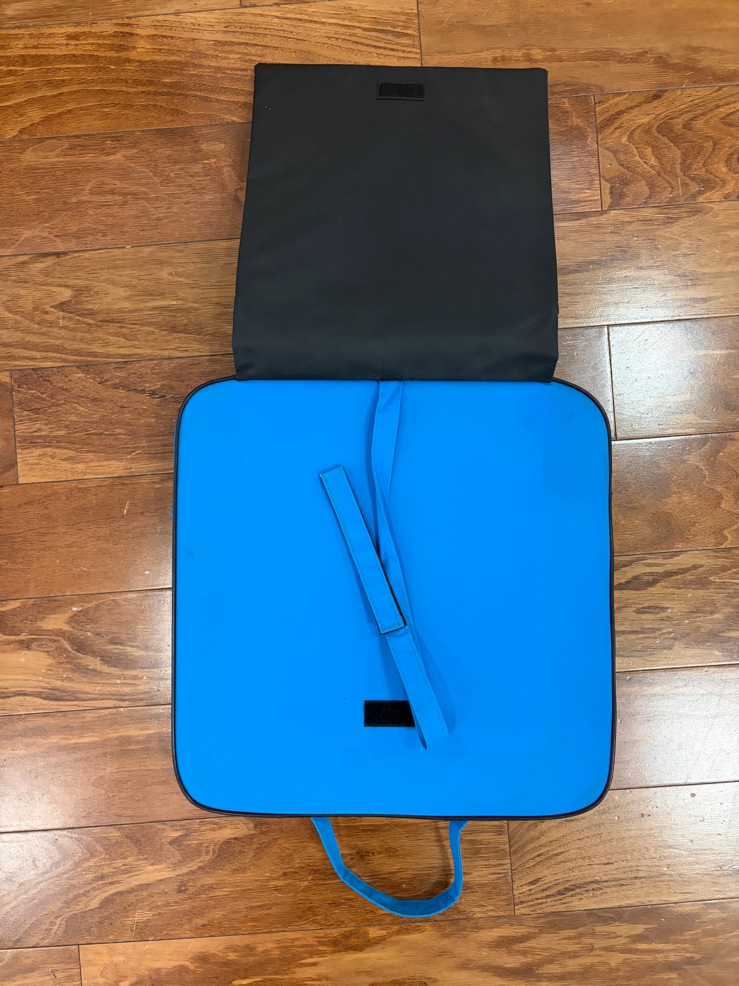00s Carolina Panthers Stadium Seat Cushion (OS)