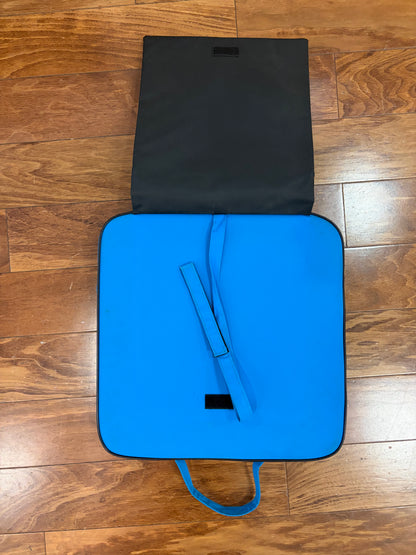 00s Carolina Panthers Stadium Seat Cushion (OS)