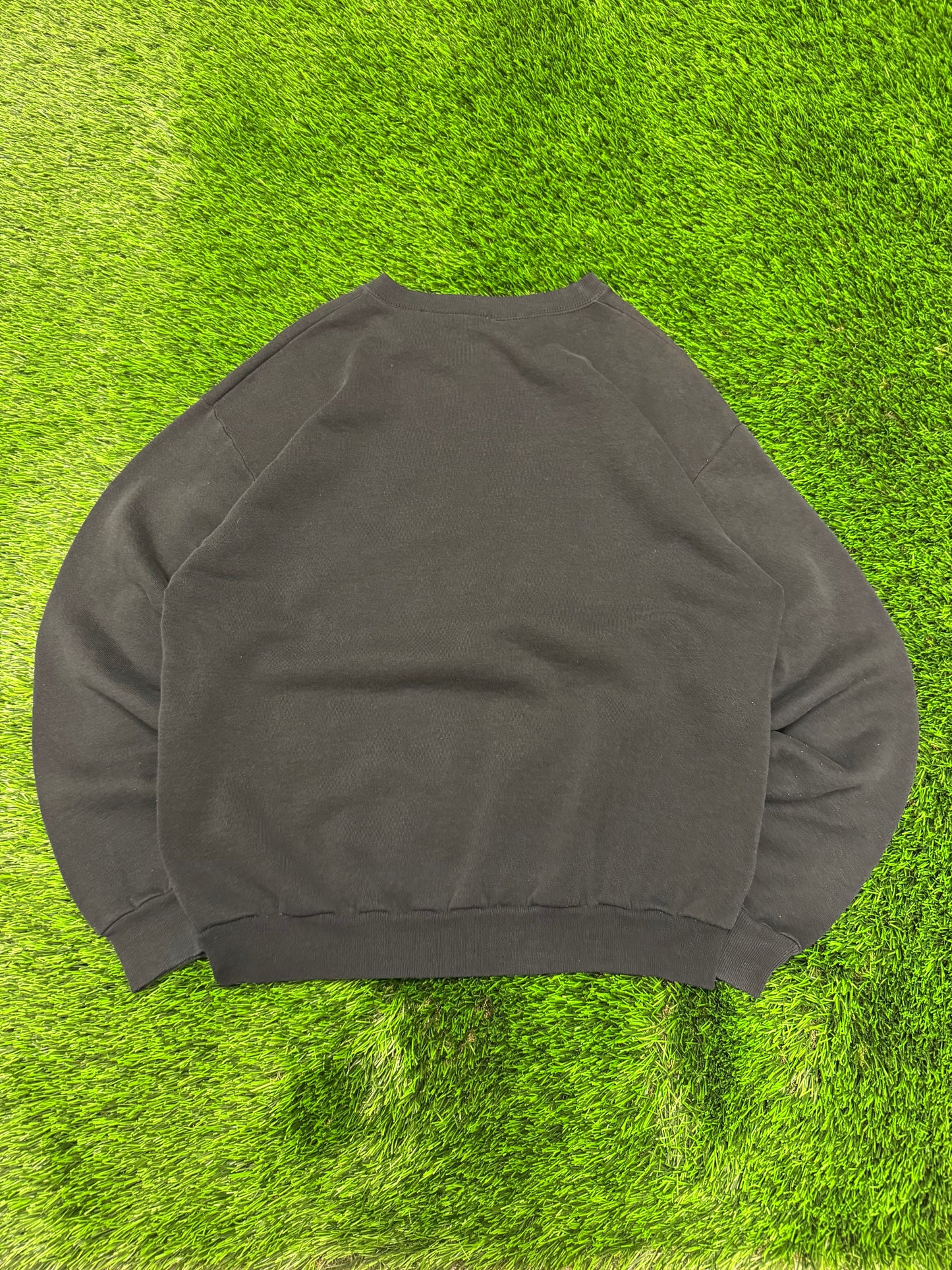 1996 Carolina Panthers Spell Out Crewneck (L)
