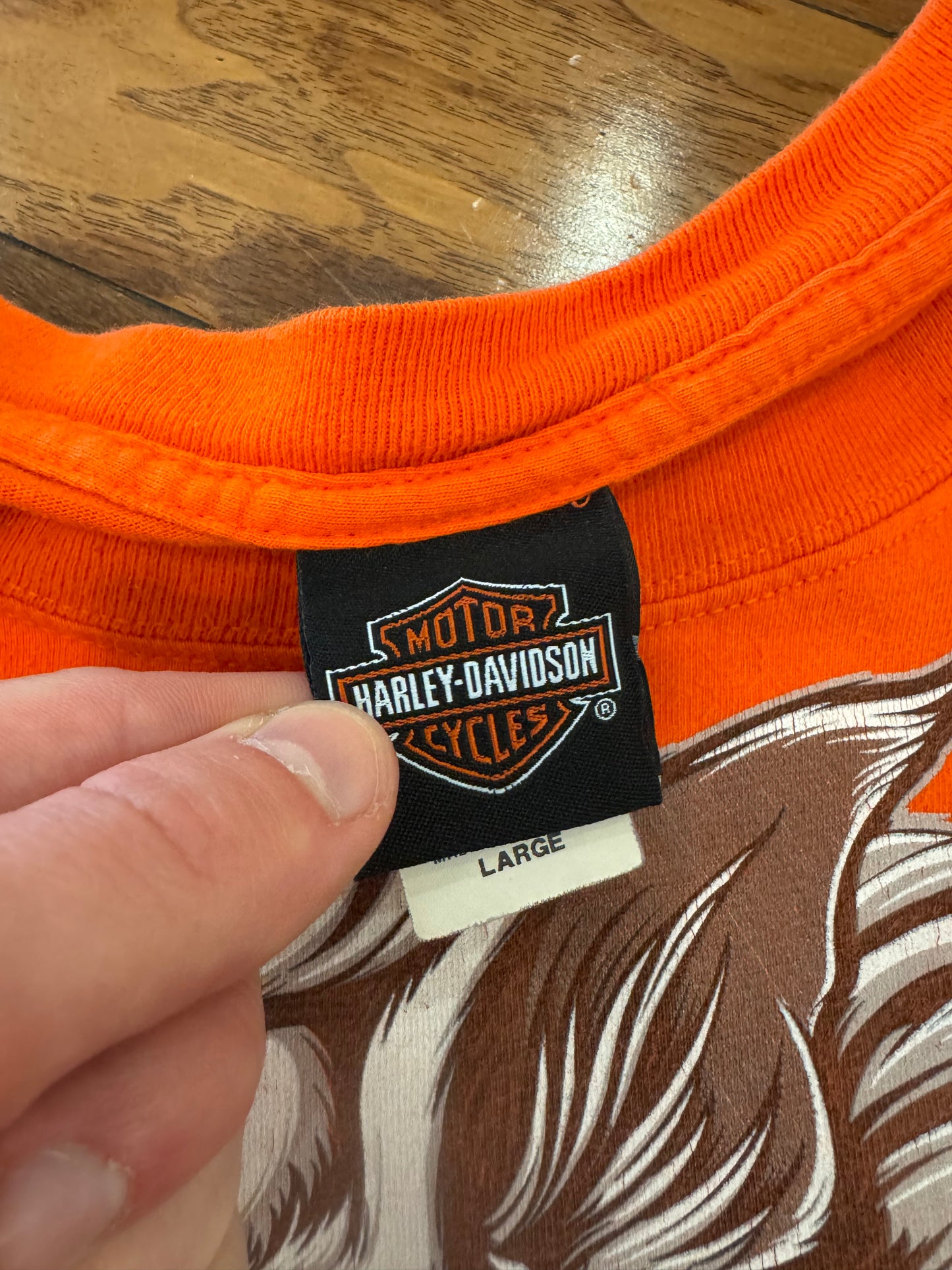 2018 Harley Davidson Rocky Top Tennessee Hog Tee (L)