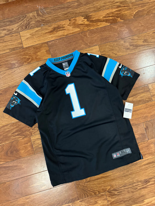 2014 Carolina Panthers Cam Newton Home Football Jersey (Youth XL)