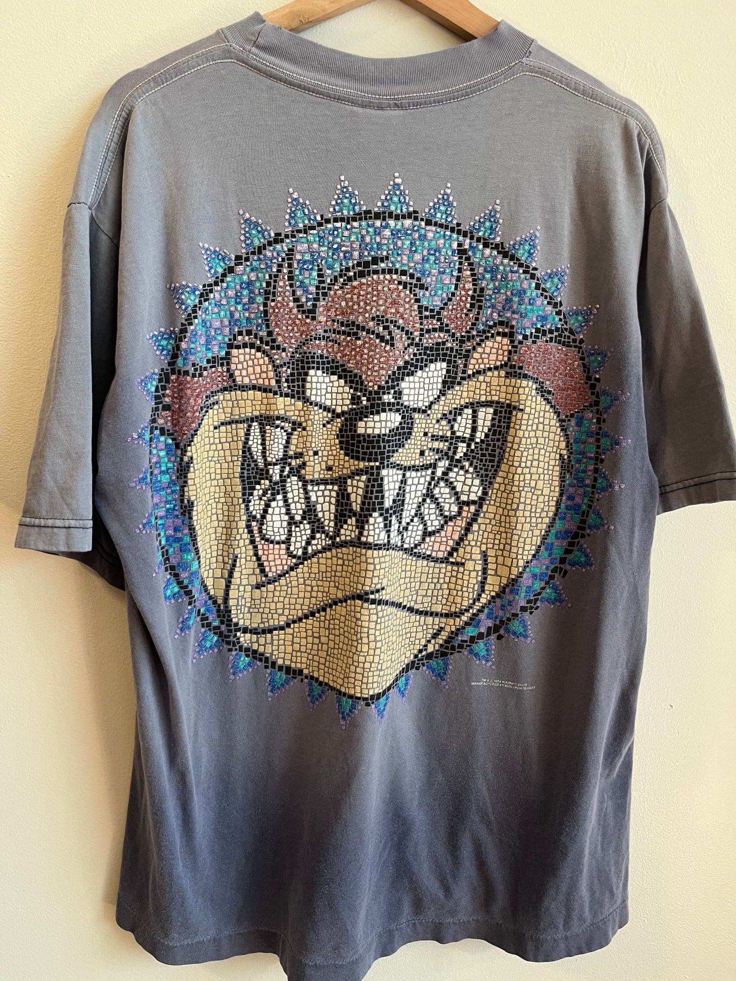 1994 Taz Warner Bros Smoked Faded Graphic Tee (XL)