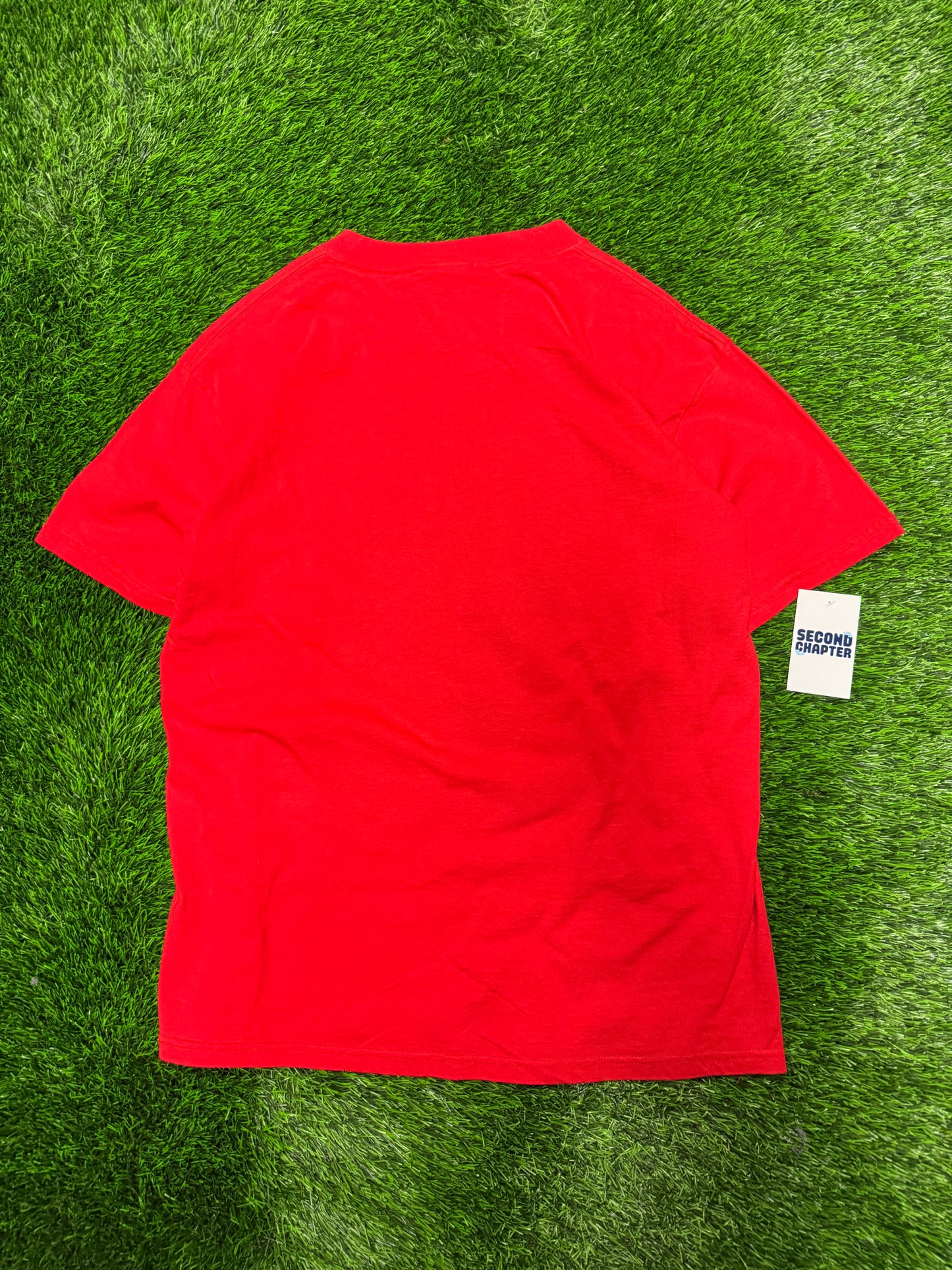 1995 Piedmont Phillies Inaugural Season Vintage Nutmeg MLB Tee (L)