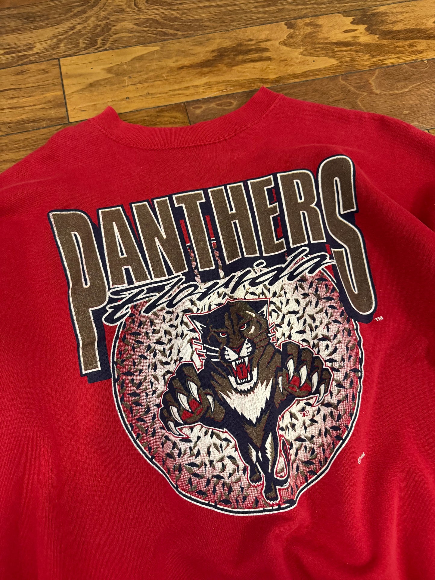 90s Florida Panthers Vintage Big Graphic NHL Crewneck (XL)