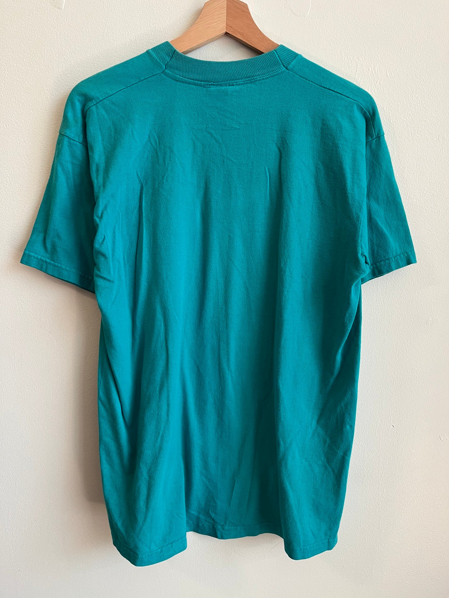 1998 Taz "Don't Even Go There!" Looney Tunes Faded Teal Tee (L)