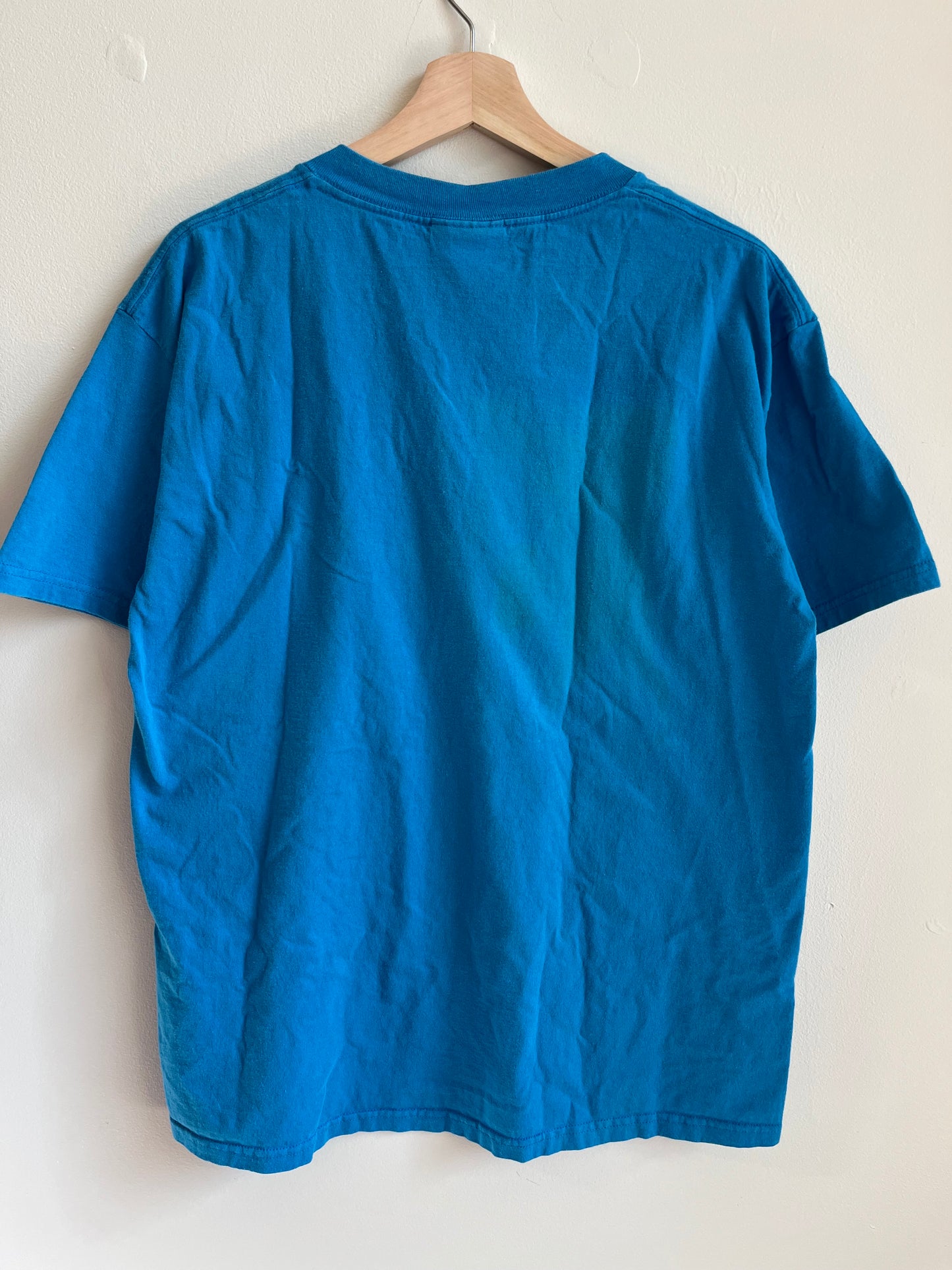 1995 Carolina Panthers Blue Big Letter Tee (L)