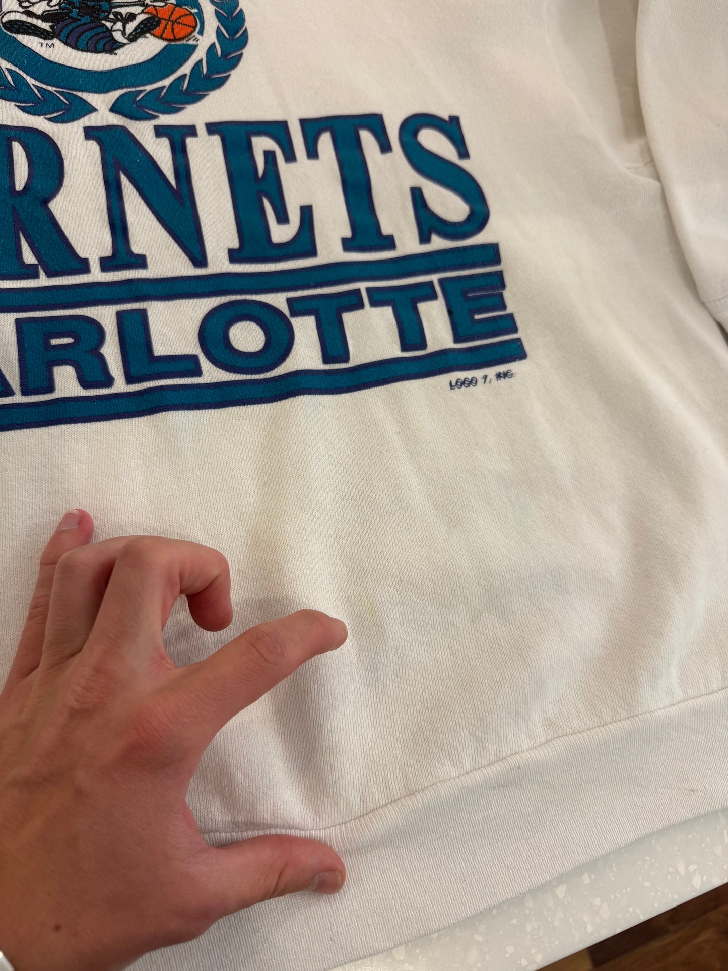90s Charlotte Hornets Spell Out Essential Crewneck (L)