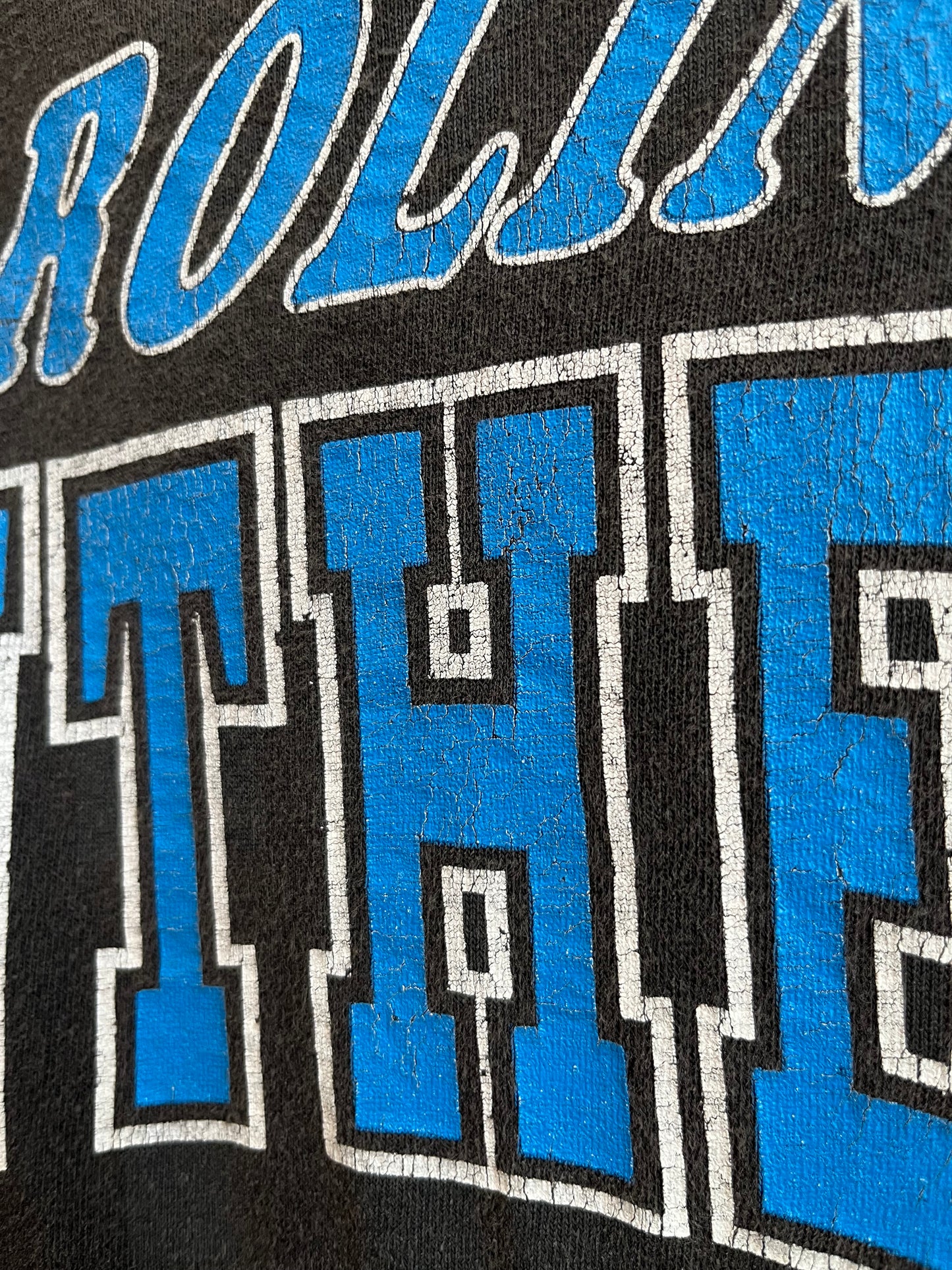 1993 Carolina Panthers Football Faded Tee (L)