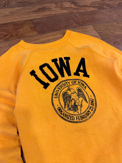 70s University Of Iowa Champion Vintage Crewneck (S)