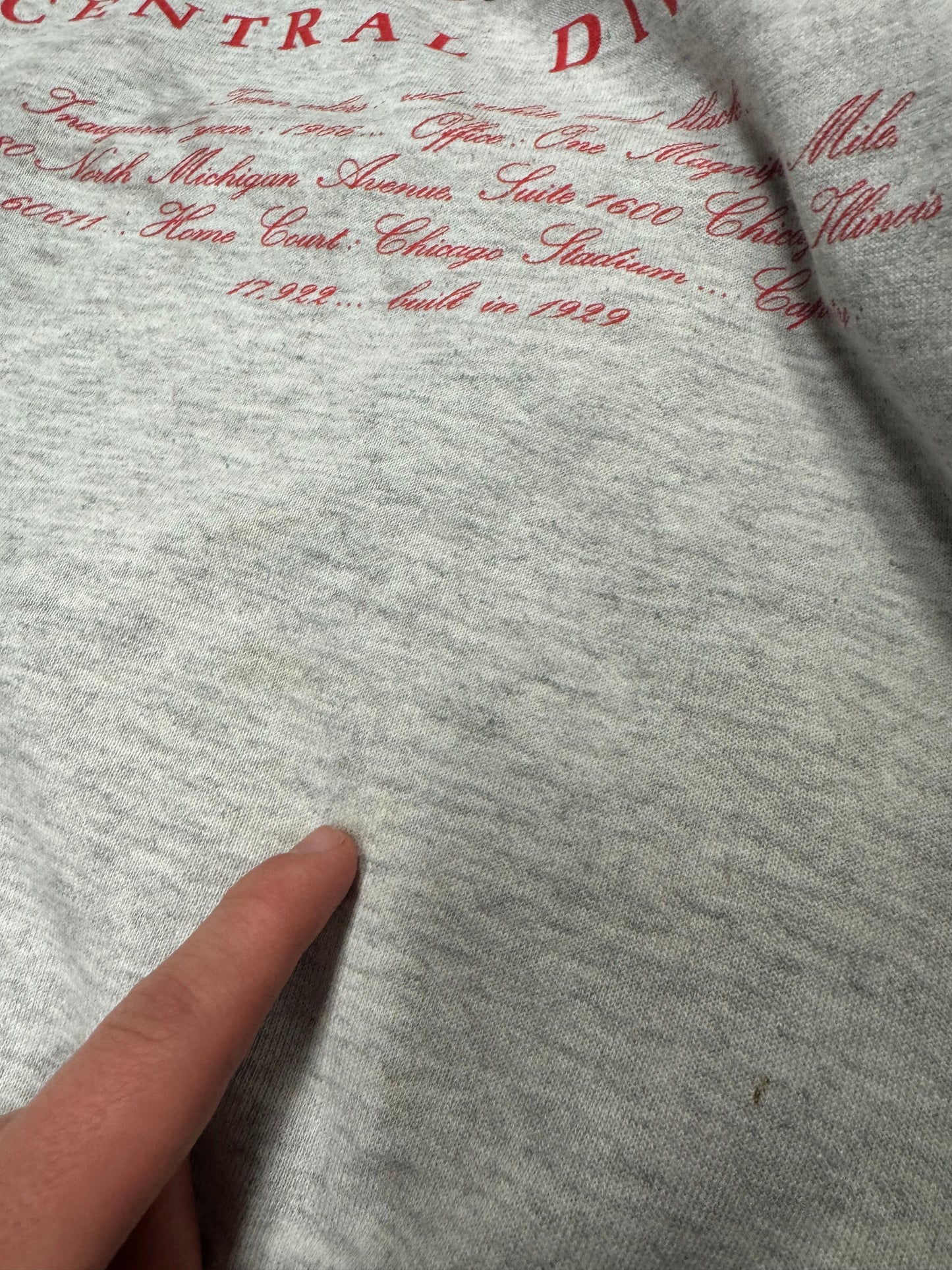 90s Chicago Bulls Vintage Distressed Nutmeg Crewneck (XL)