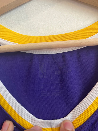 2019 Lebron James LA Lakers Nike NBA Jersey (L)