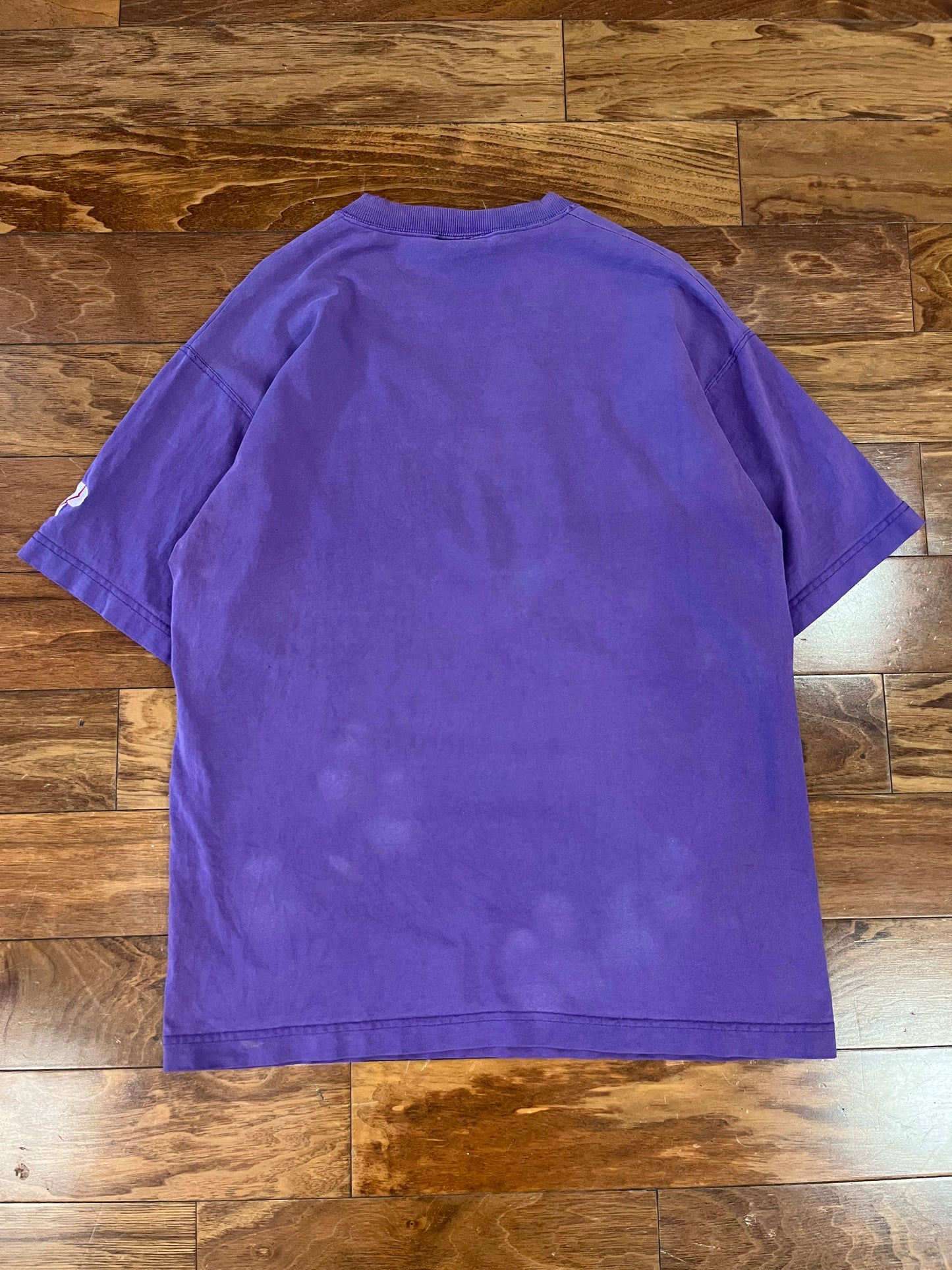 90s Charlotte Hornets Purple Pro Player Tee (L)