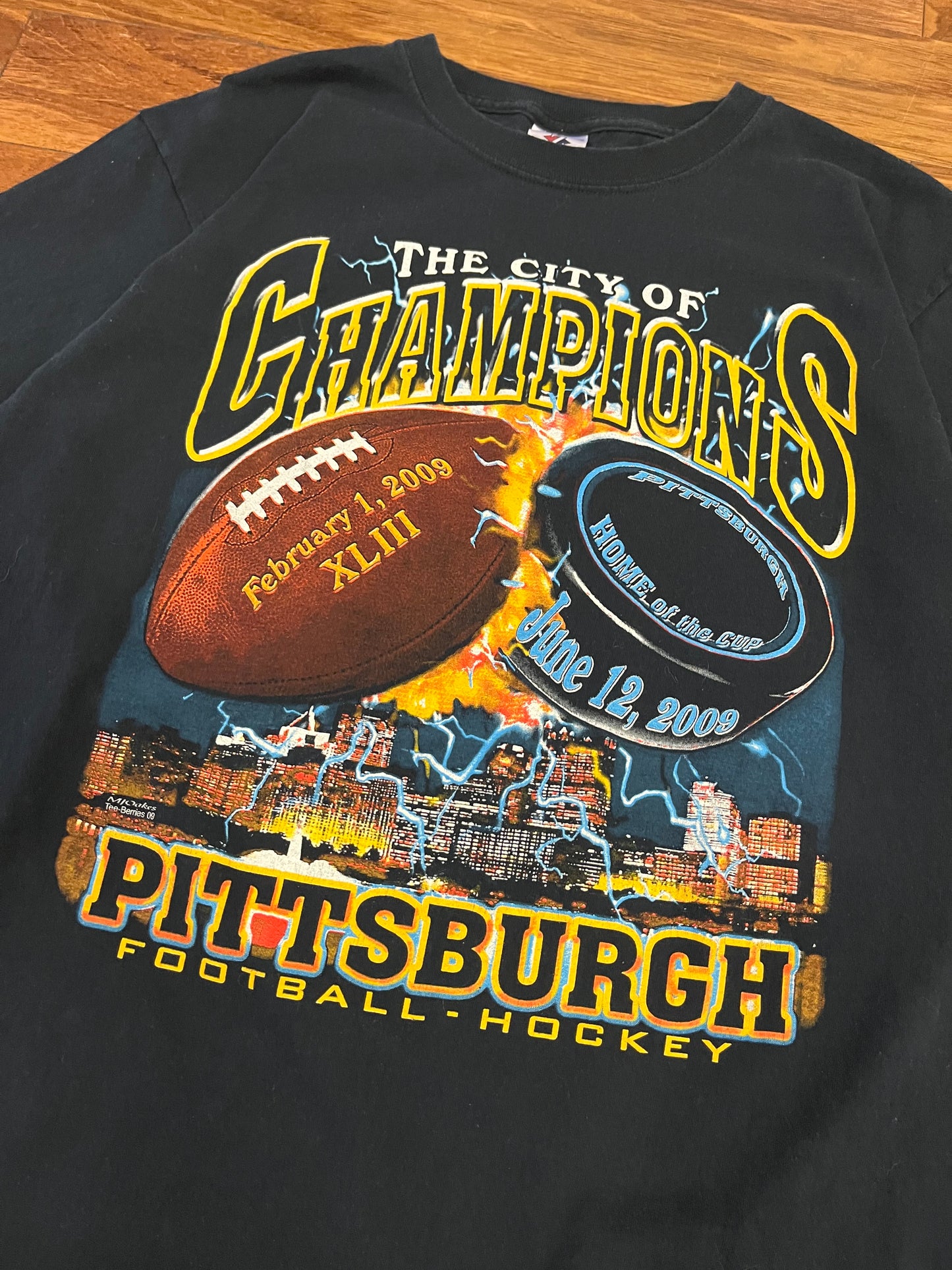 2009 Pittsburgh Steelers & Penguins Champions Tee (L)