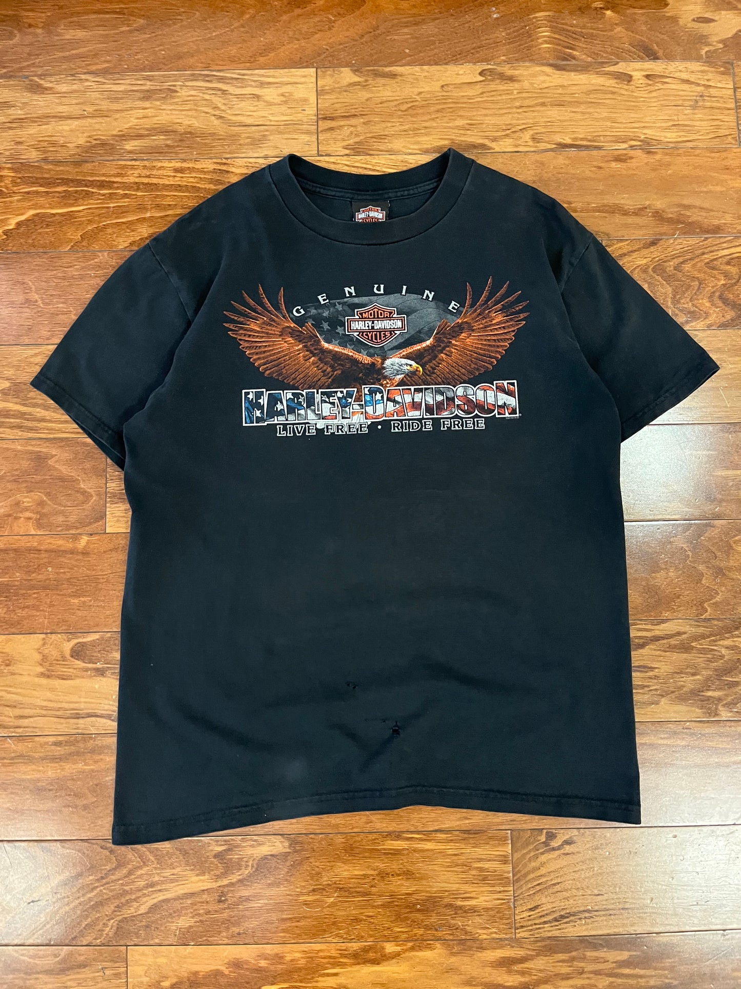 2010 Harley Davidson Chicago Tee (L)
