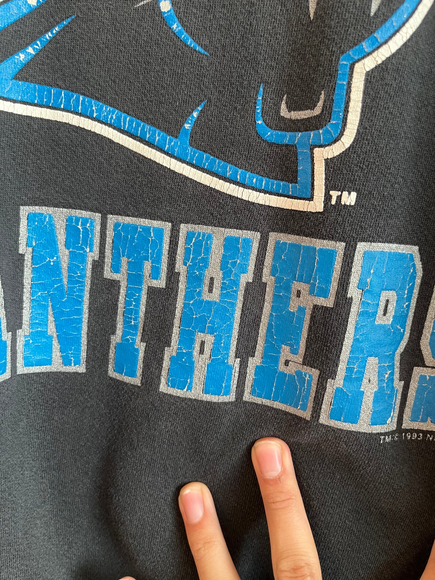 1993 Carolina Panthers Black Bike Crewneck (XL)