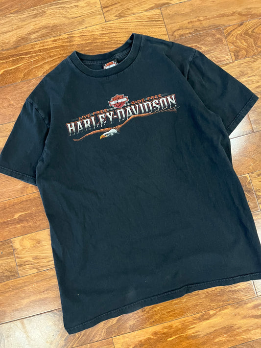 2010 Harley Davidson Florida USA Tee (L)