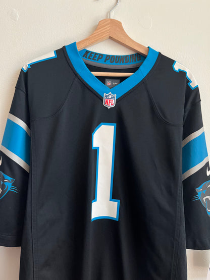 2010s Carolina Panthers Cam Newton Nike Jersey (XL)