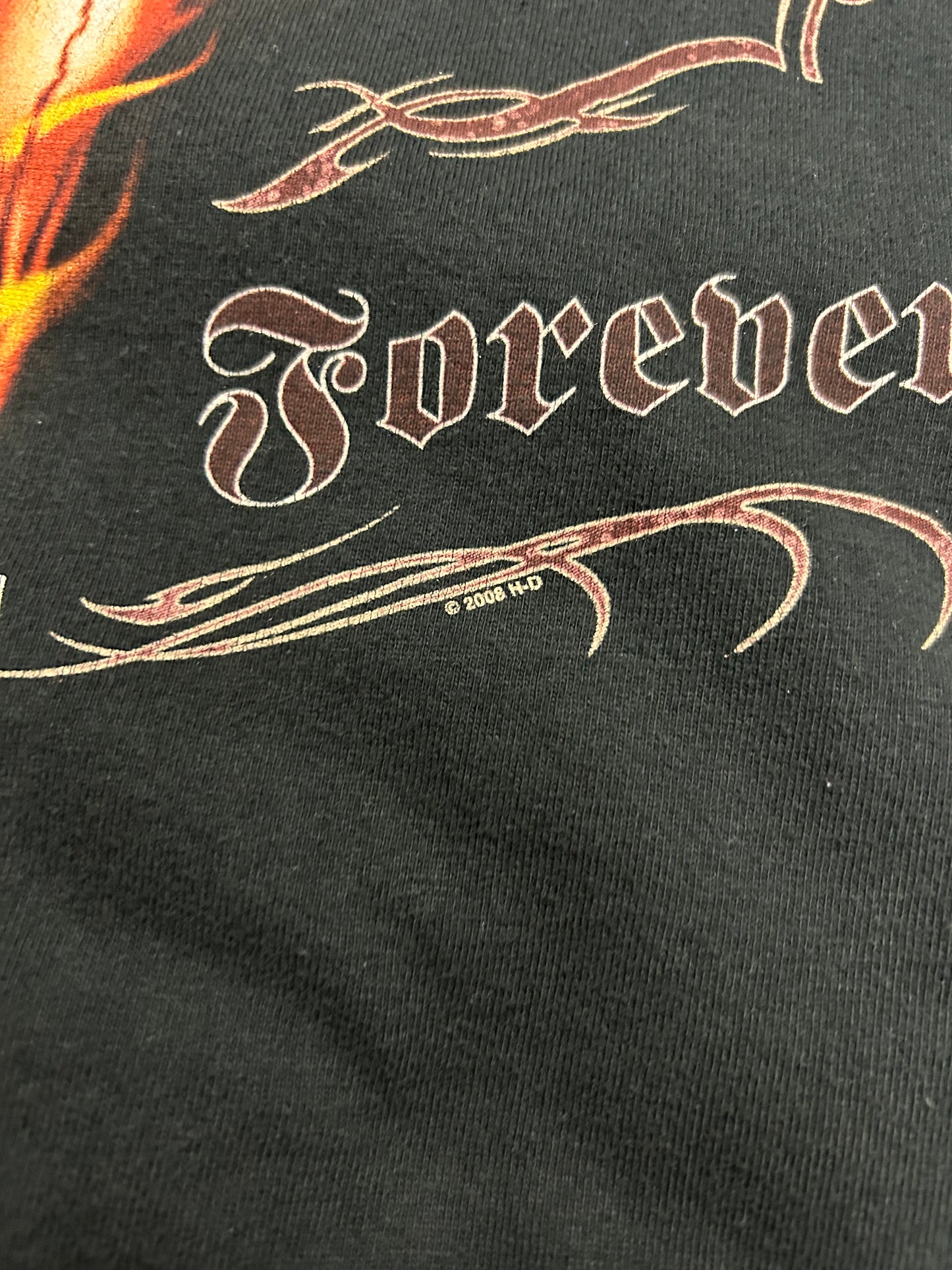 2008 Harley Davidson Snake & Flames Conrad's Illinois Tee (XL)