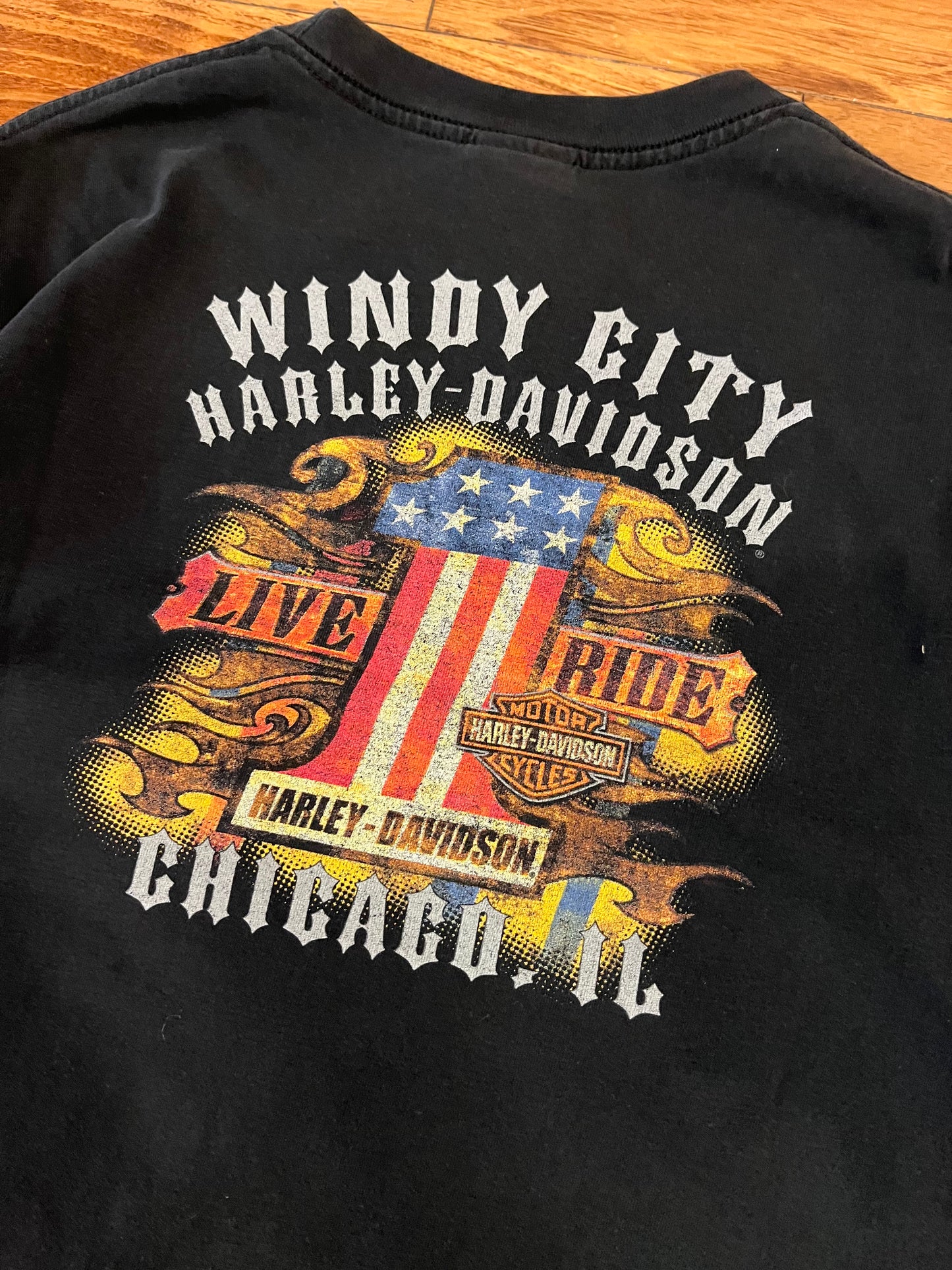 2010 Harley Davidson Chicago Tee (L)