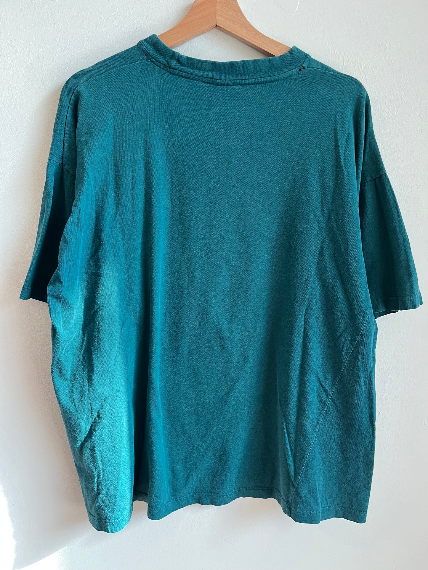 1993 Looney Tunes Tweety Bird Charlotte Tee (XL)