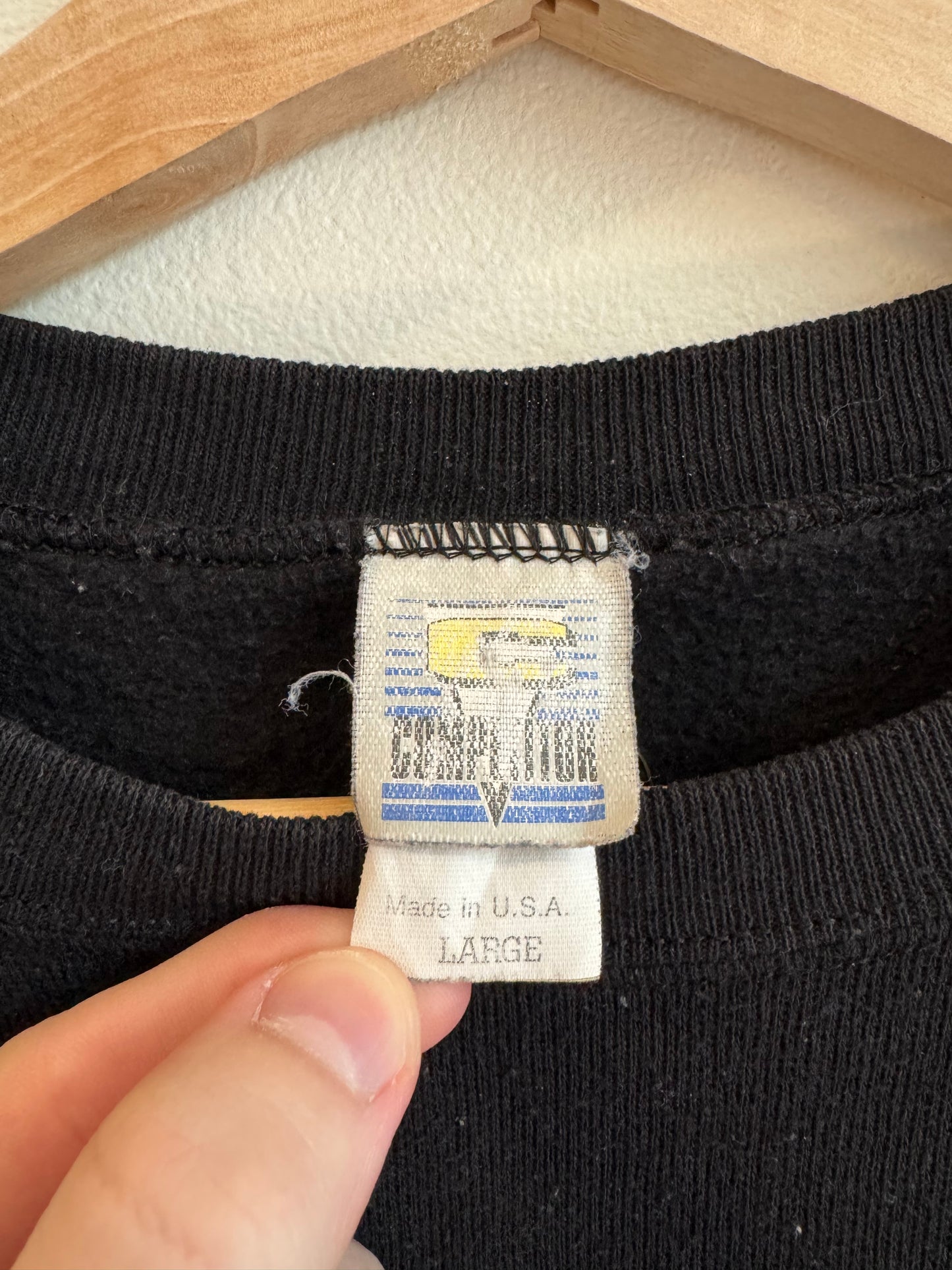 1993 Carolina Panthers Competitor Spell Out Crewneck (L)