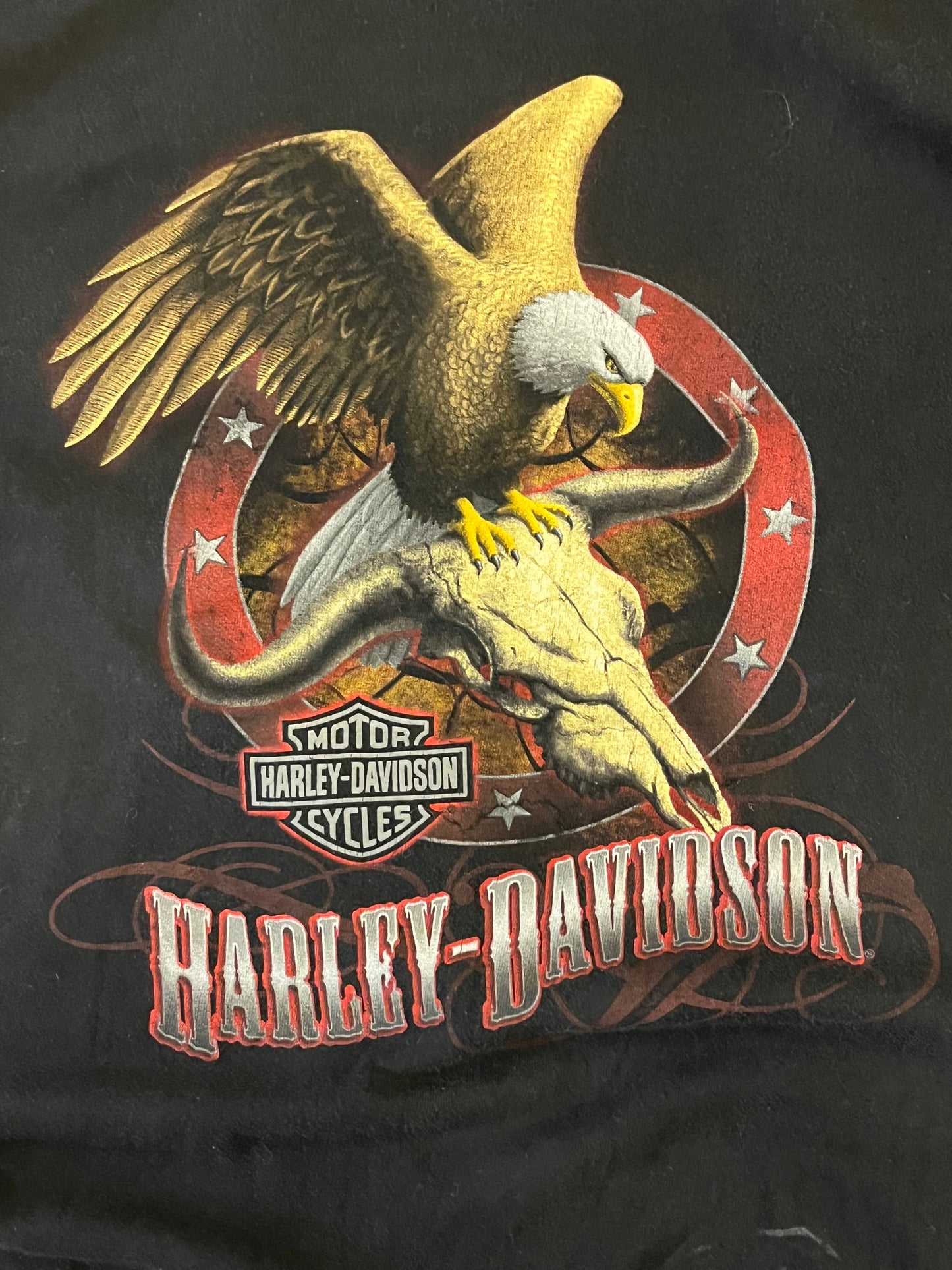 2009 Harley Davidson Killer Creek Tee (L)