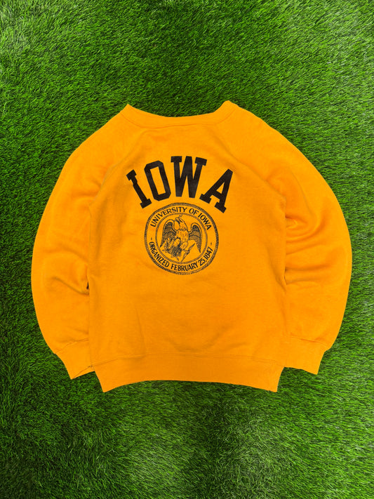 70s University Of Iowa Champion Vintage Crewneck (S)