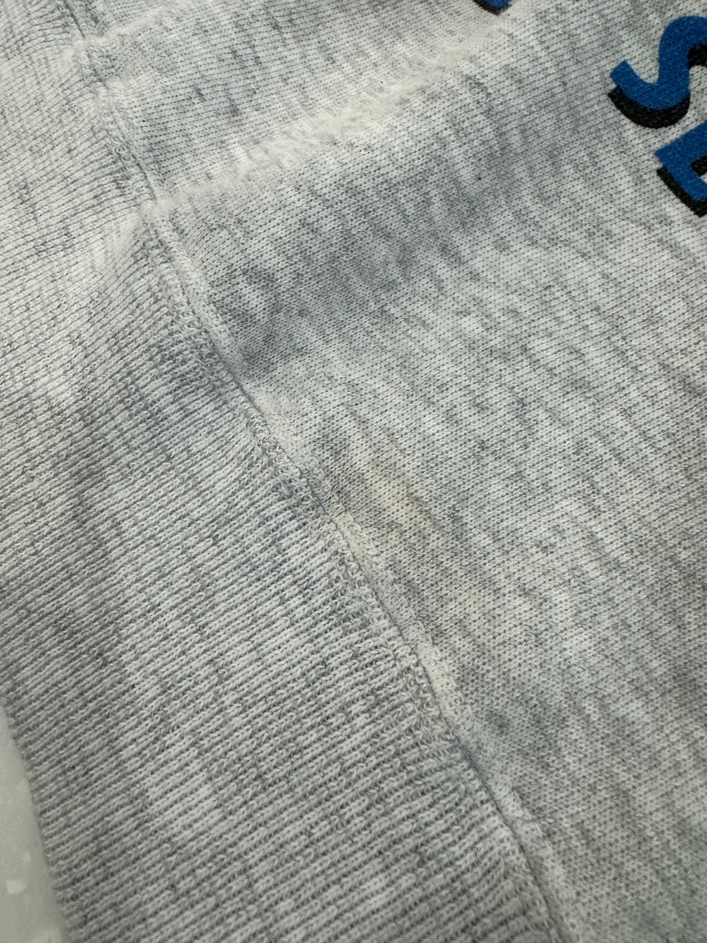 1995 Carolina Panthers Premier Season Crewneck (L)