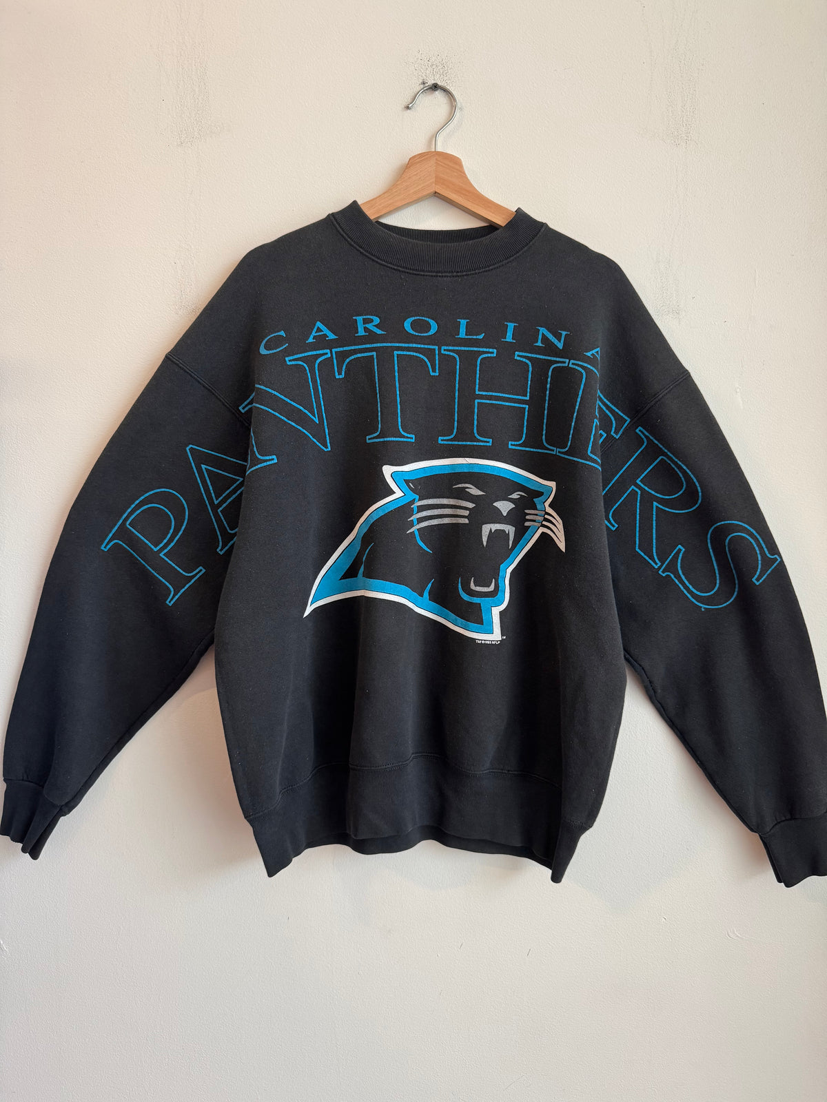 1993 Carolina Panthers Sleeve To Sleeve Black Spell Out Crewneck (XL)