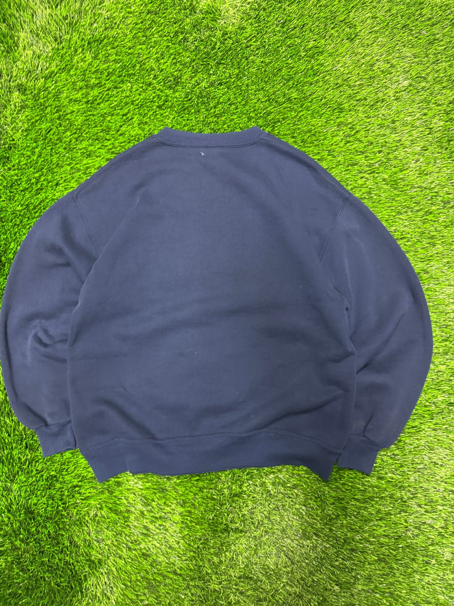 90s Michigan University Vintage Russell Crewneck (L)